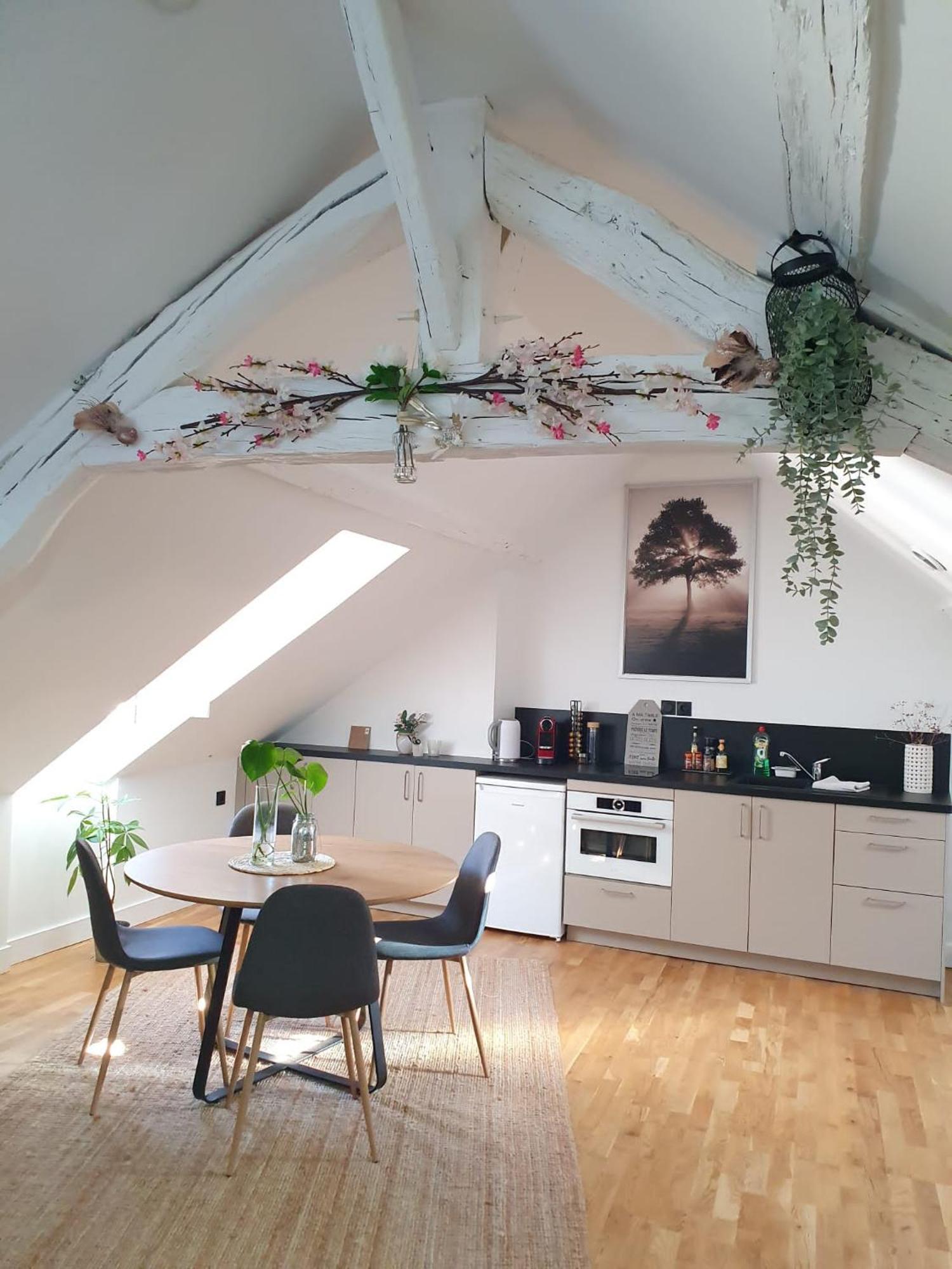 Apartamento Quietude Au Bord De Loire. Orléans Exterior foto